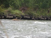 img (122)